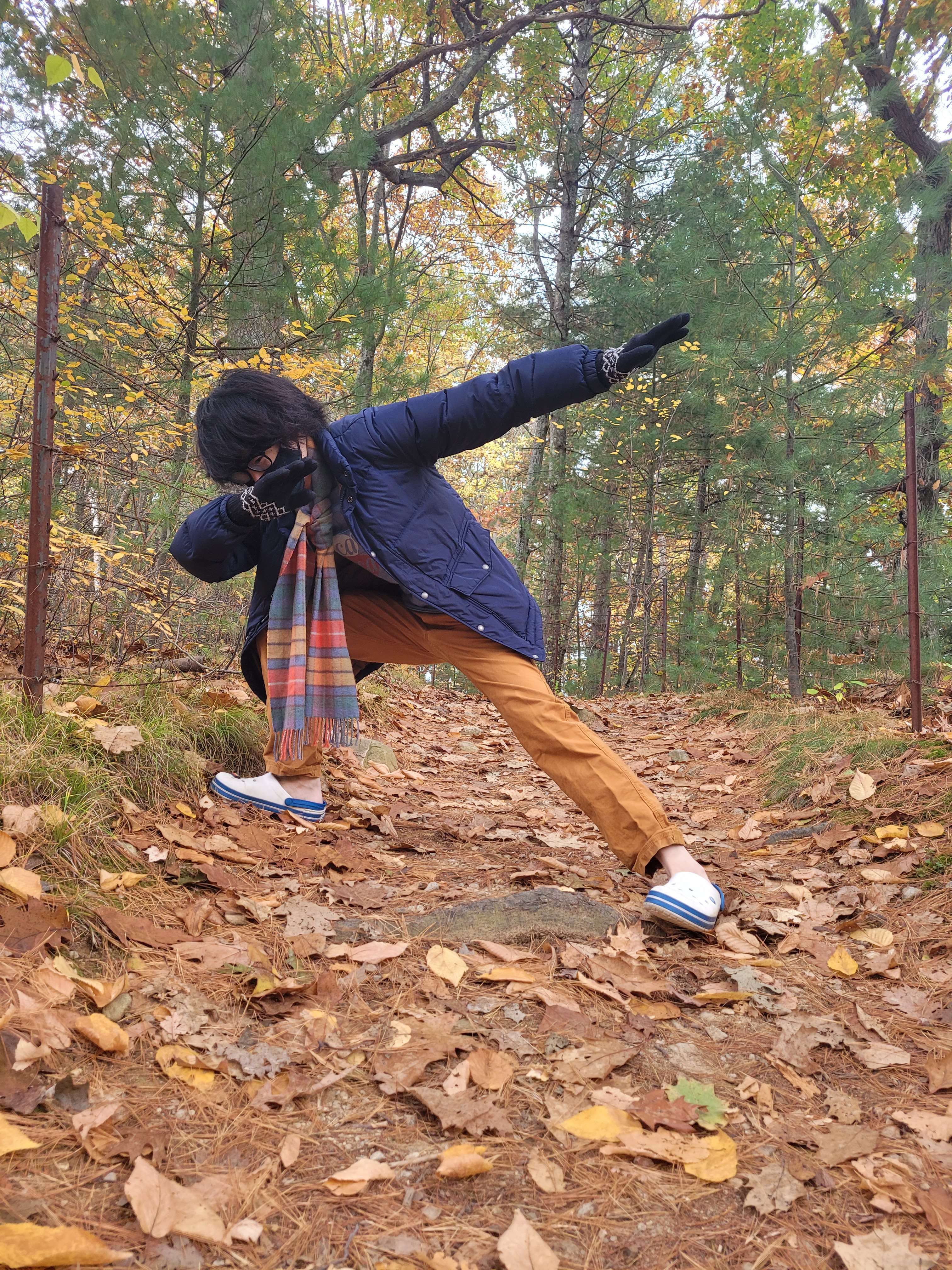 An image of me dabbing on the hiking trail 
									around Walden Pond. I know dabbing is cringe now, 
									but this is post-ironic, ok?